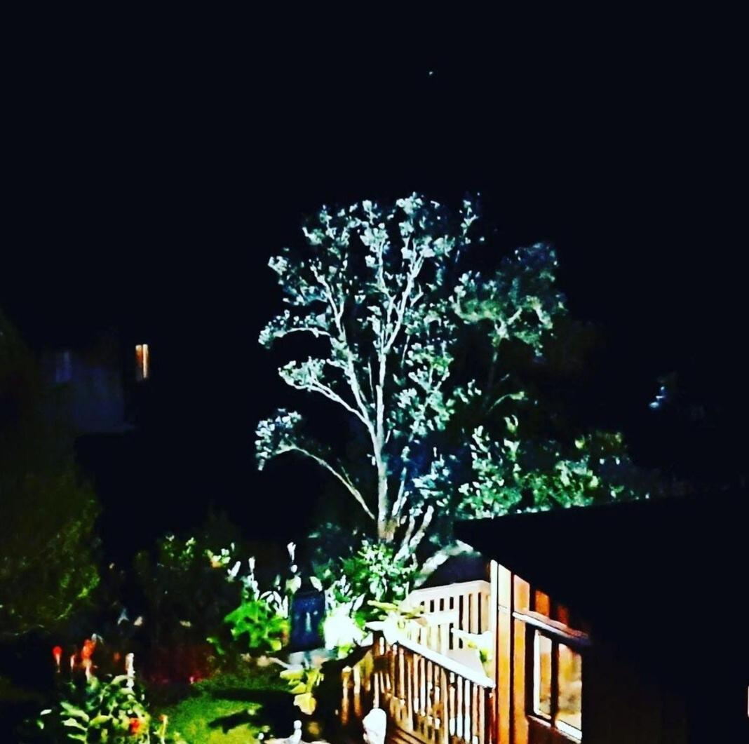 Apartamento Peace Of Bali Waihi Exterior foto